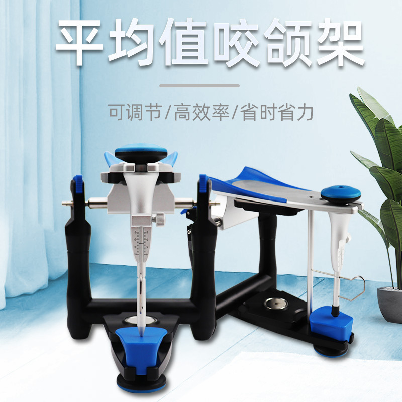 牙科合架平均值颌架排牙口腔颌架