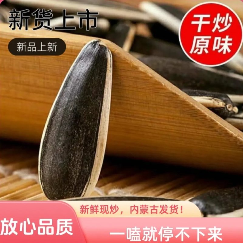 内蒙363新鲜生葵瓜子熟瓜子新货精选大颗粒瓜子炒货产地直发