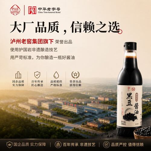 【新鲜日期】国岩特级老缸黑豆酱油日晒夜露传统酿造0添加酱油