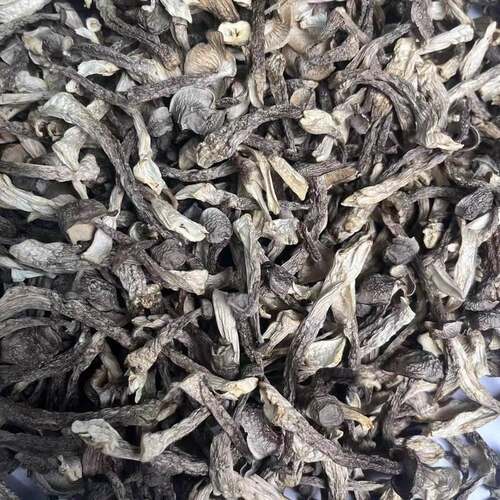 【1斤2斤多送40克】精品头茬小嫩菇高山鹿茸菇干货脆脆菇口感脆嫩