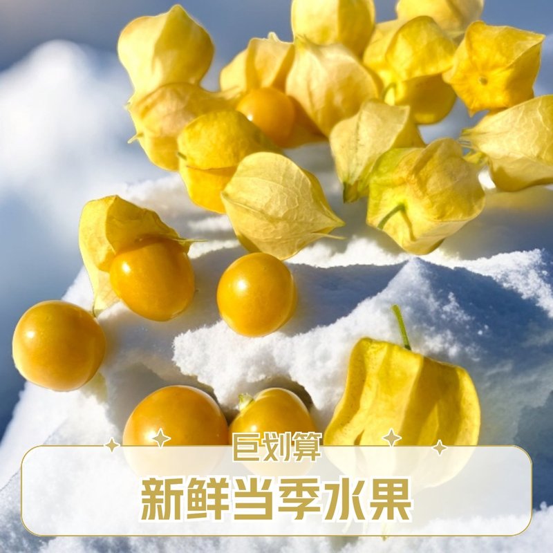 【原产地直发】新鲜头茬东北菇娘果新鲜香甜多汁水果产地直发