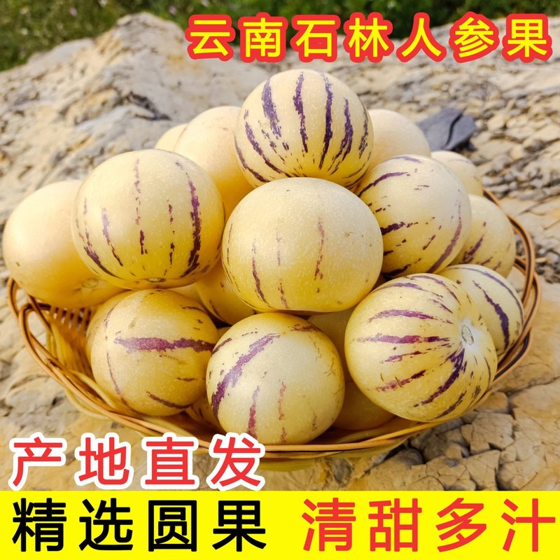 【真树上熟】云南树熟人参果黄心圆果黄肉清甜多汁新鲜水果