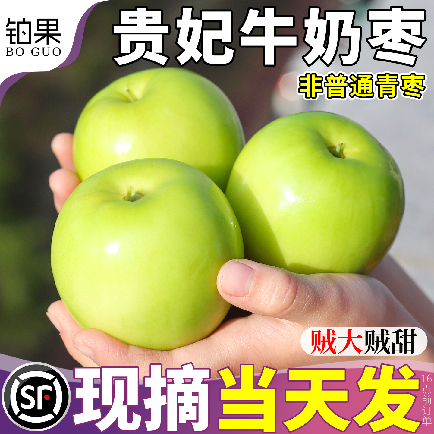 顺丰贵妃牛奶枣10斤青枣当季新鲜水果现摘苹果大枣礼盒整箱包邮甜