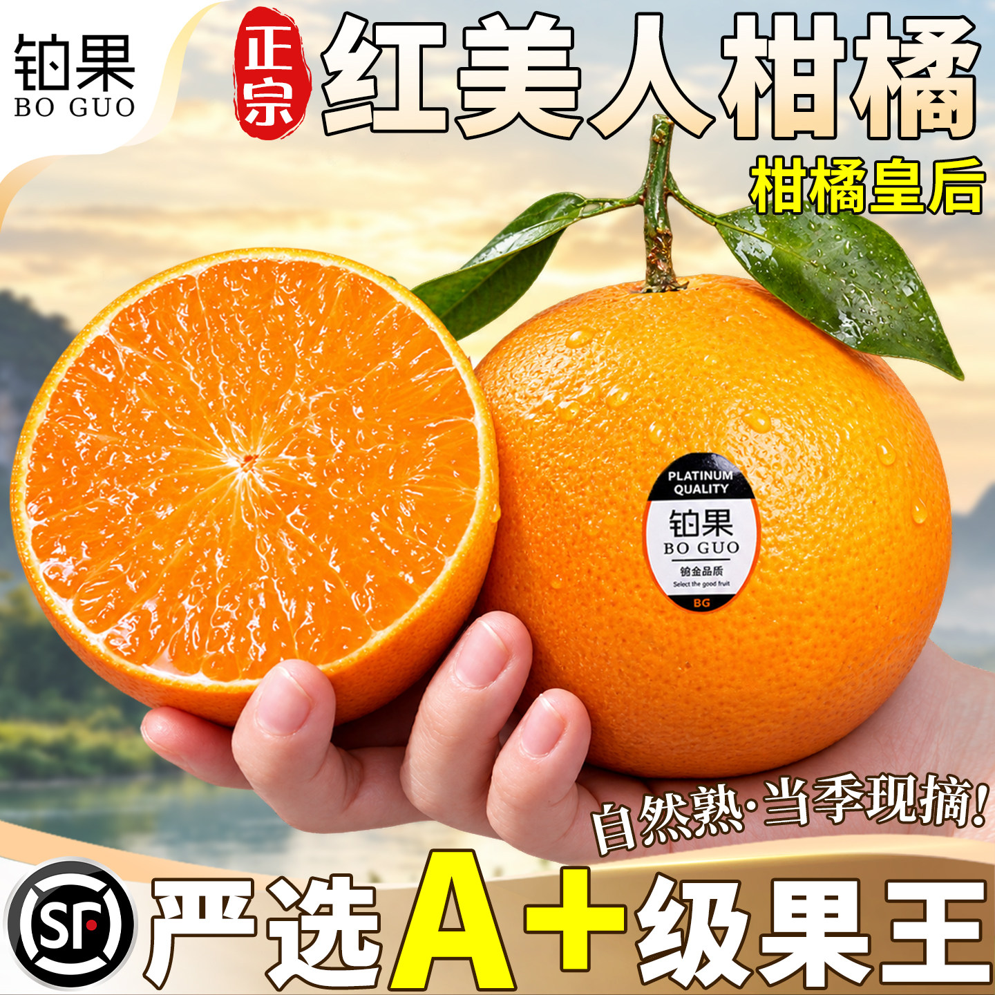 顺丰次日达|红美人柑橘|不甜包赔