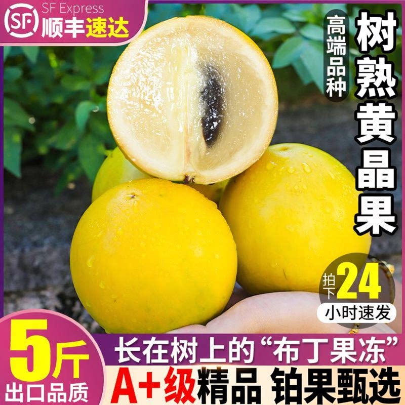 顺丰次日达|稀有水果|果王400+