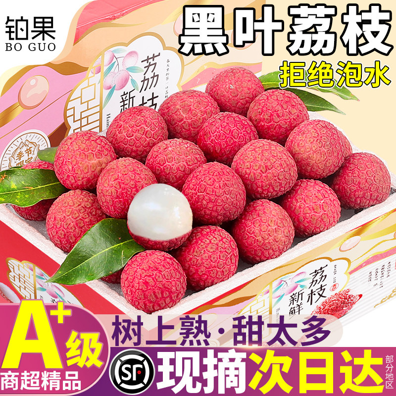 顺丰现货 6斤黑叶荔枝新鲜现摘现发水果白糖应季鲜果糯米整箱包邮