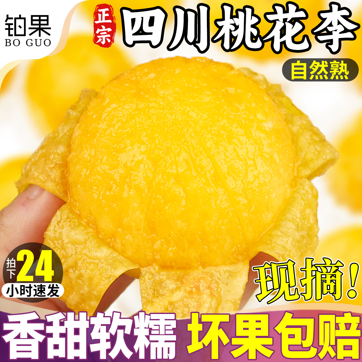 A+彩箱装精品汉源桃花李丨树上熟