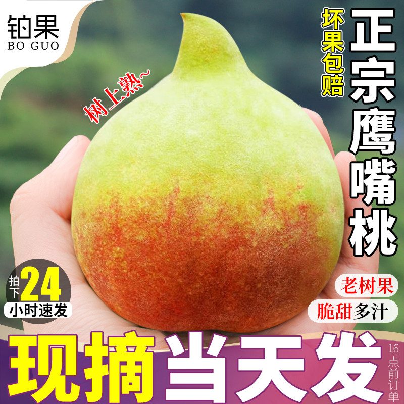 正宗云南鹰嘴桃5斤礼盒