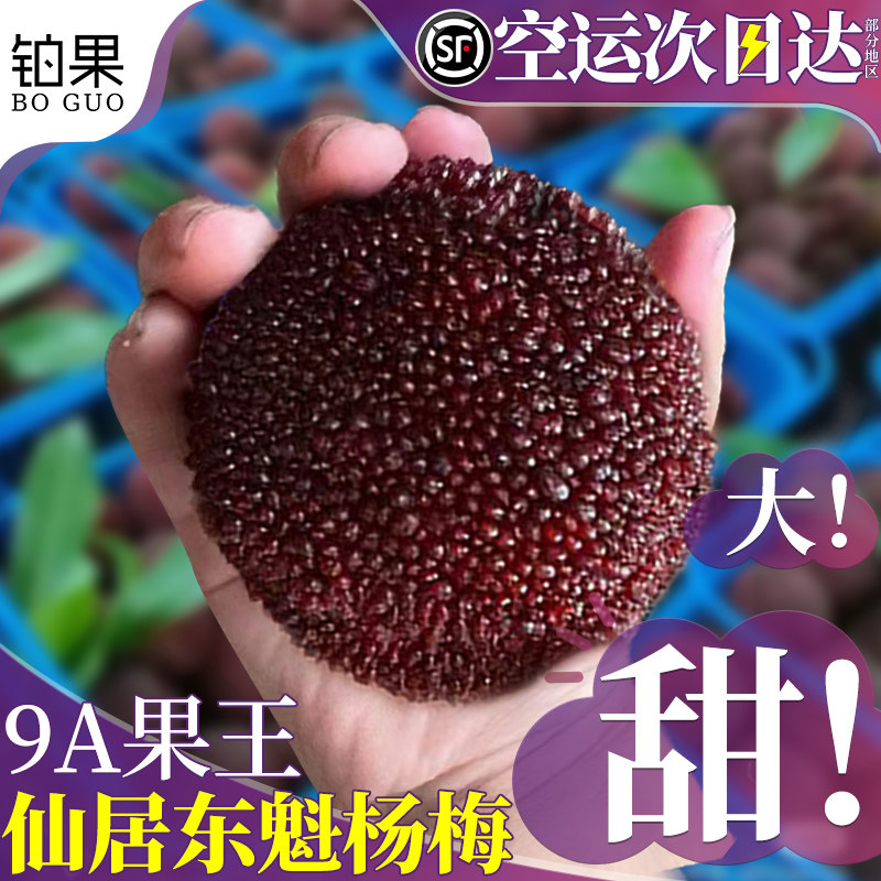 顺丰空运 正宗仙居东魁杨梅鲜果新鲜现摘现发当季整箱颗粒装包邮