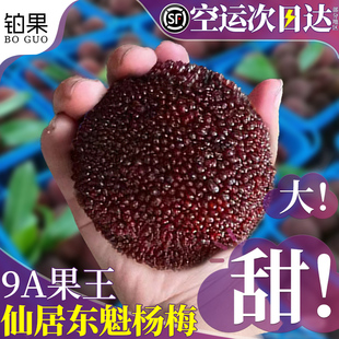 顺丰空运 正宗仙居东魁杨梅鲜果新鲜现摘现发当季整箱颗粒装包邮