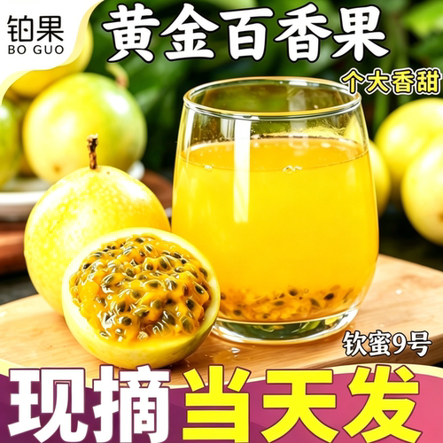 黄金百香果钦蜜9号现摘现发