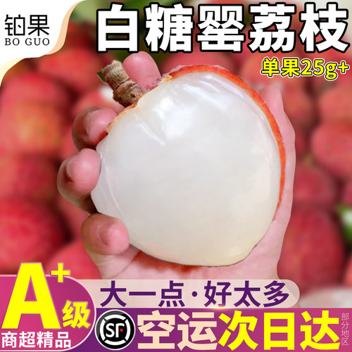空运冷链次日达丨现货白糖罂荔枝