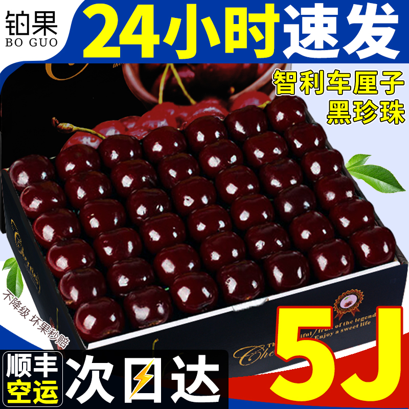 空运次日达丨5J智利黑珍珠不降级