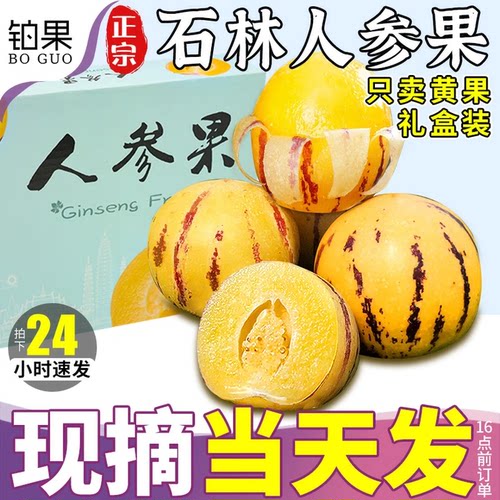 树上熟丨5斤礼箱石林人参果果王