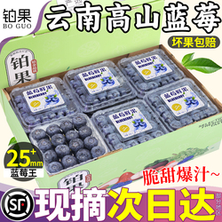 顺丰次日达丨云南蓝莓25mm限量装