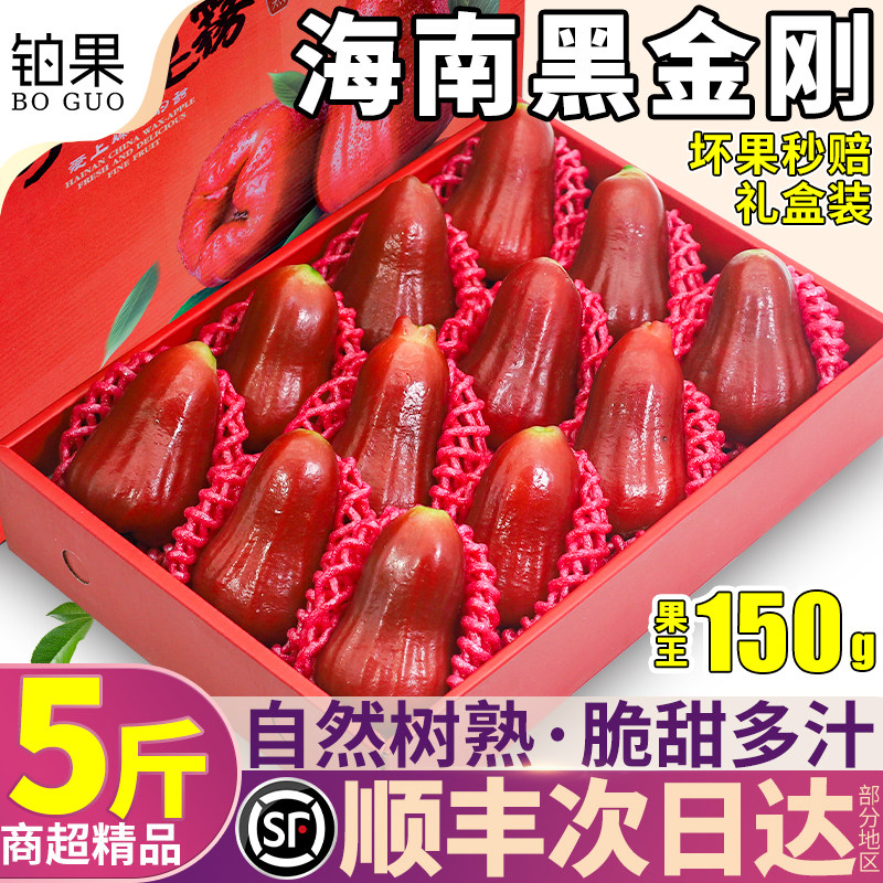 顺丰次日达！黑金刚莲雾5斤礼盒