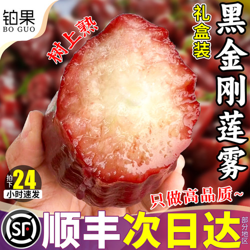 顺丰速达丨正宗海南黑金刚莲雾