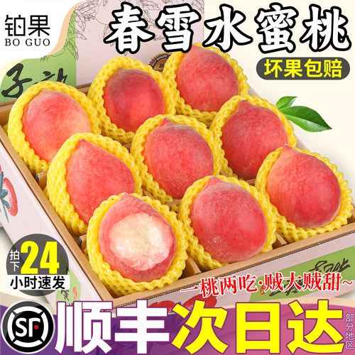 顺丰次日达丨正宗春雪水蜜桃包邮