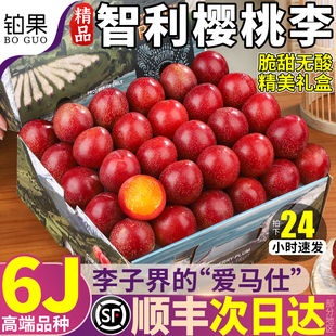 顺丰礼盒 5斤智利进口樱桃李新鲜李子水果红心李当季纯甜整箱包邮