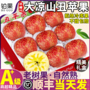 顺丰礼盒10斤大凉山丑苹果冰糖心新鲜水果当季 平果甜四川盐源整箱