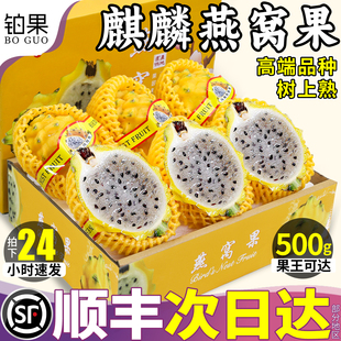 顺丰 5斤礼盒燕窝果新鲜火龙果白心麒麟果应当季孕妇水果整箱包邮