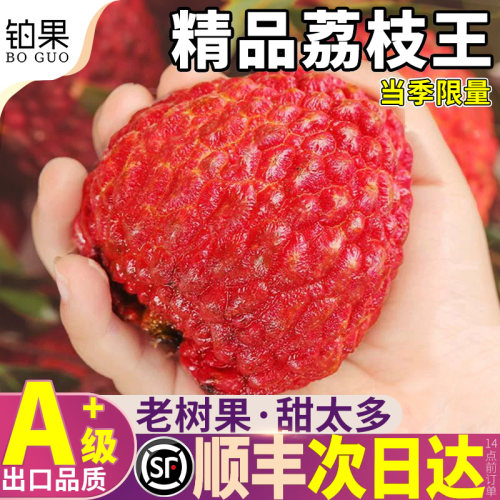 顺丰次日达丨荔枝王精美礼盒装~