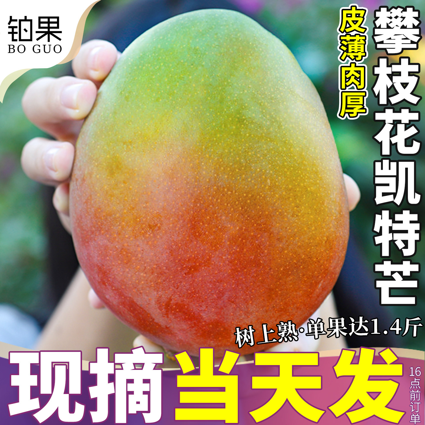 树上熟8斤凯特芒精品大果可礼盒