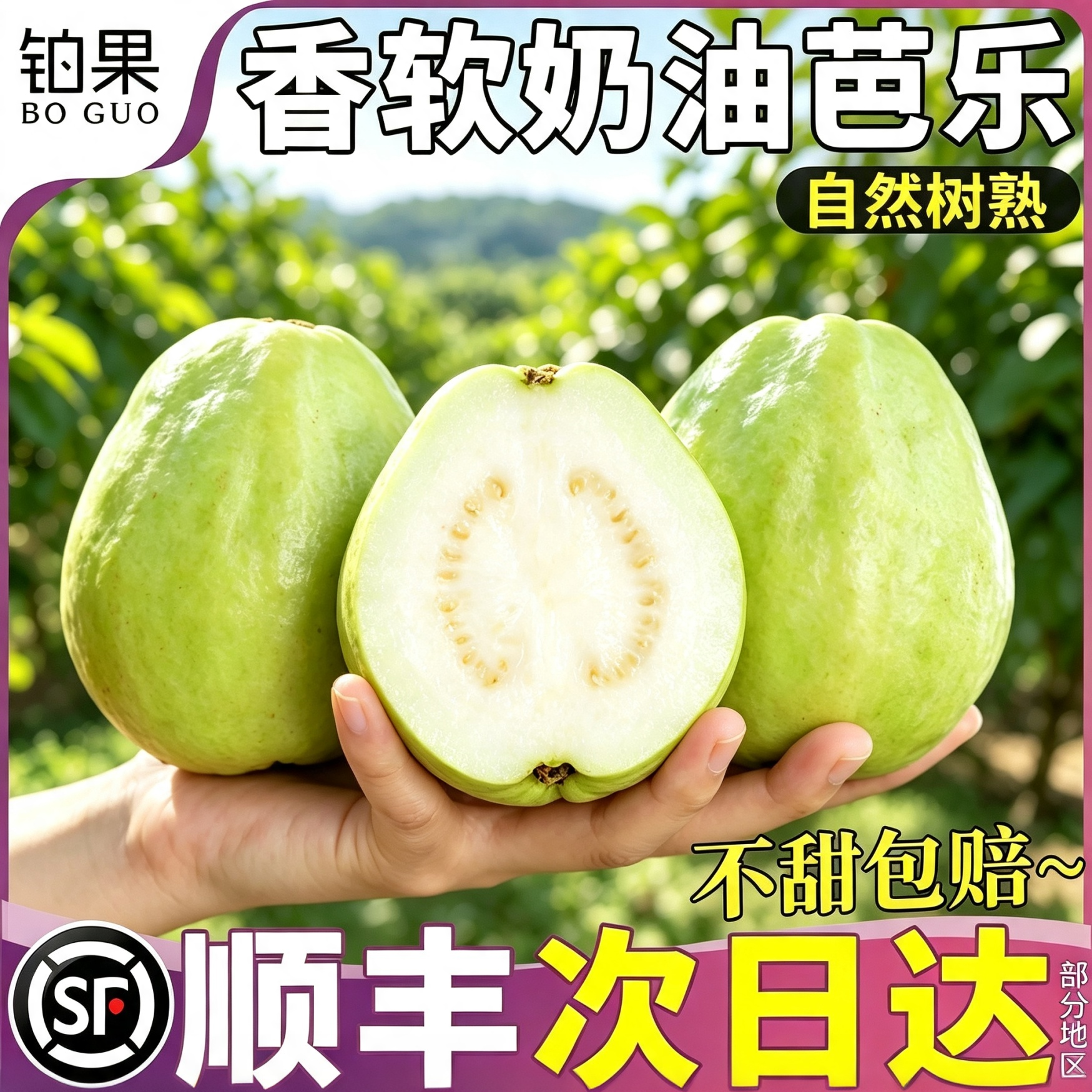 顺丰次日达丨果王礼盒软籽白芭乐