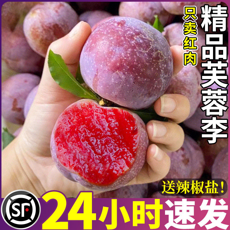 顺丰精品大果树上熟红心芙蓉李子