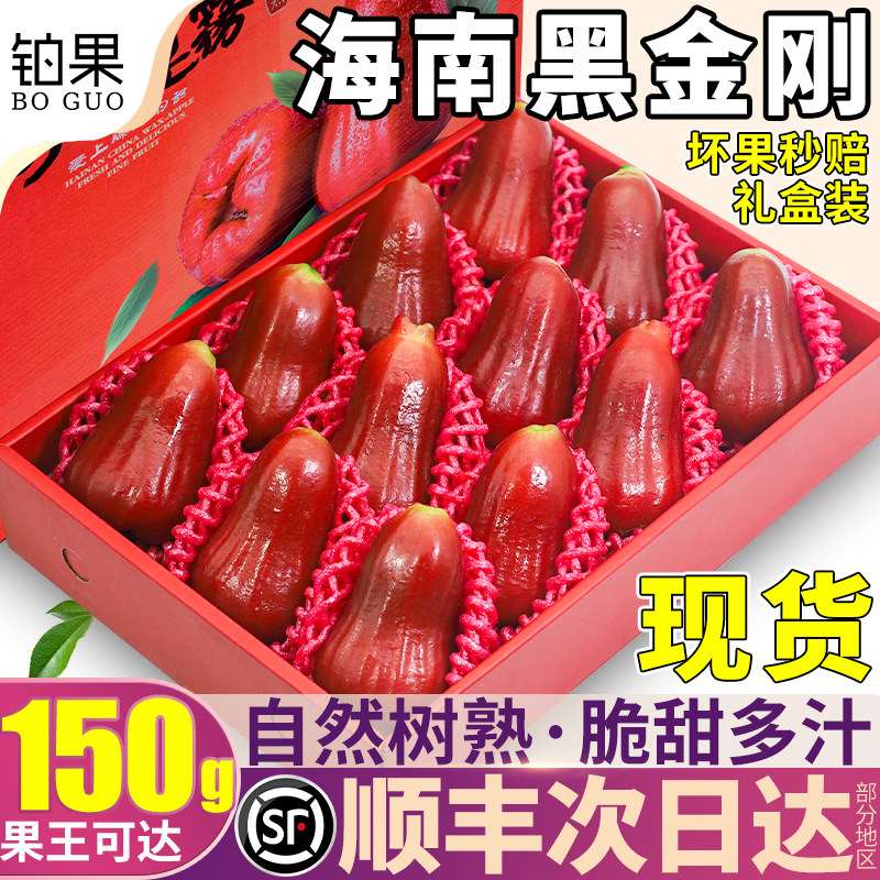 顺丰次日达丨黑金刚莲雾5斤现货