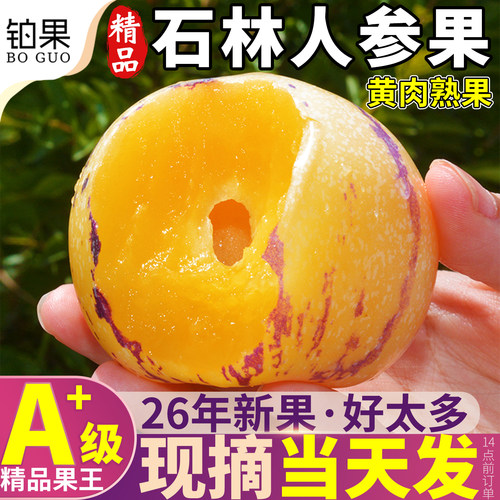 现货当天发丨黄肉熟果丨拒绝白果