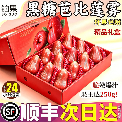 顺丰精美礼盒脆甜果王芭比莲雾