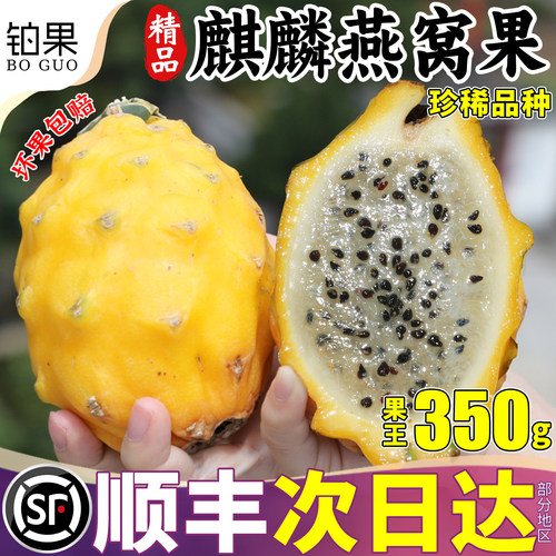 正宗海南燕窝果麒麟果5斤礼盒