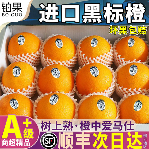顺丰次日达丨进口黑标橙高端品种