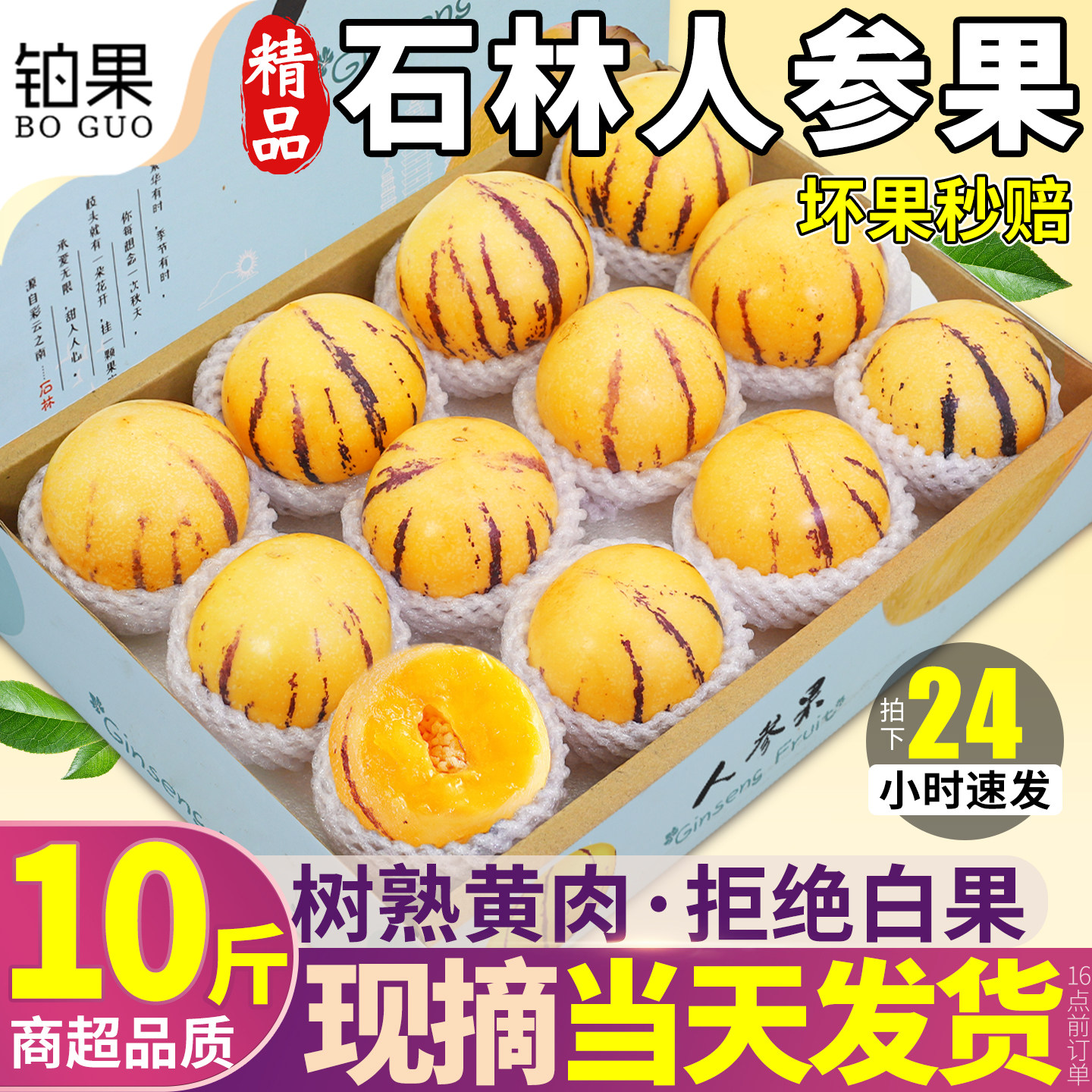 树上熟 10斤云南石林人参果新鲜水果人心果黄肉圆果人生大果整箱5