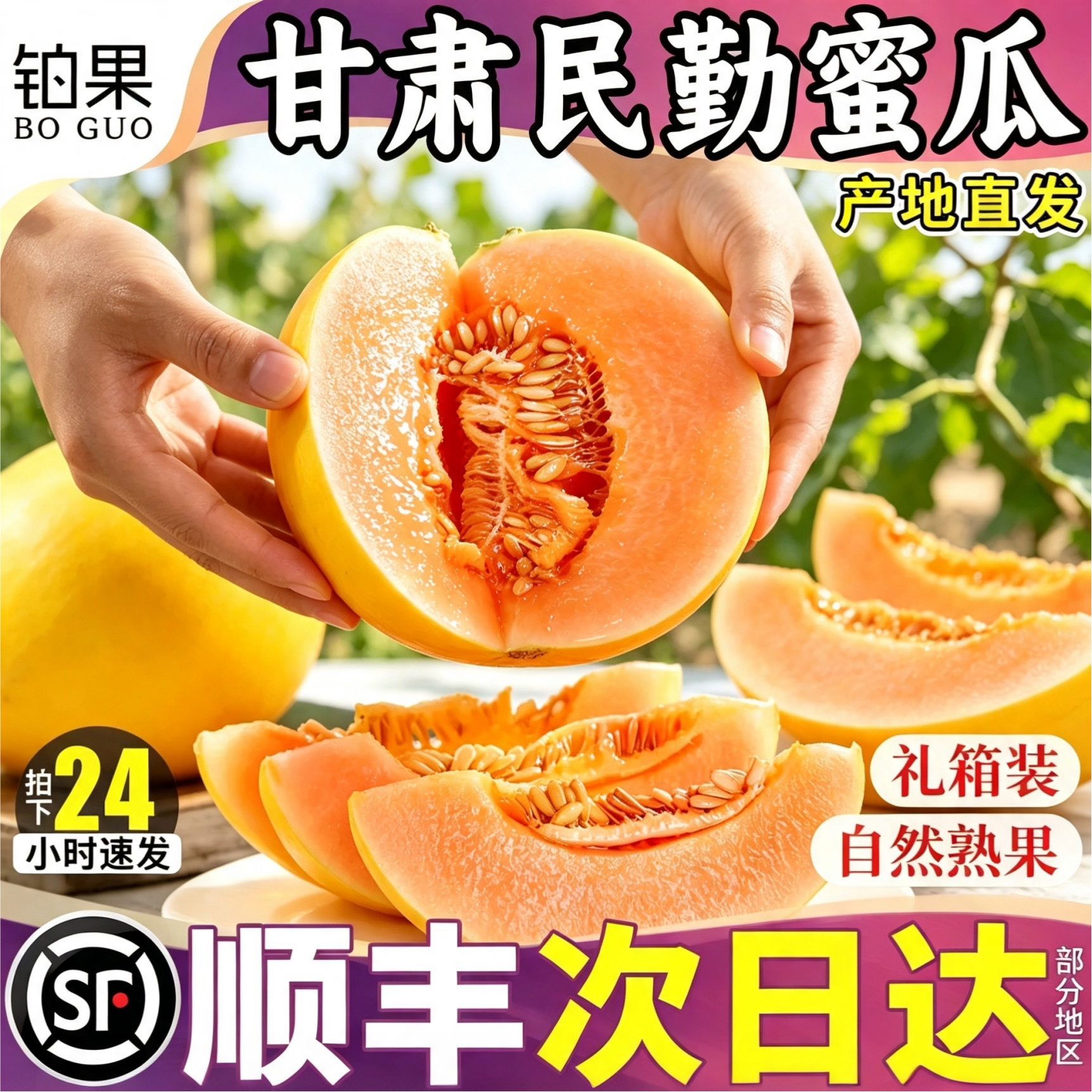 家庭分享装吃好吃爽脆甜民勤蜜瓜