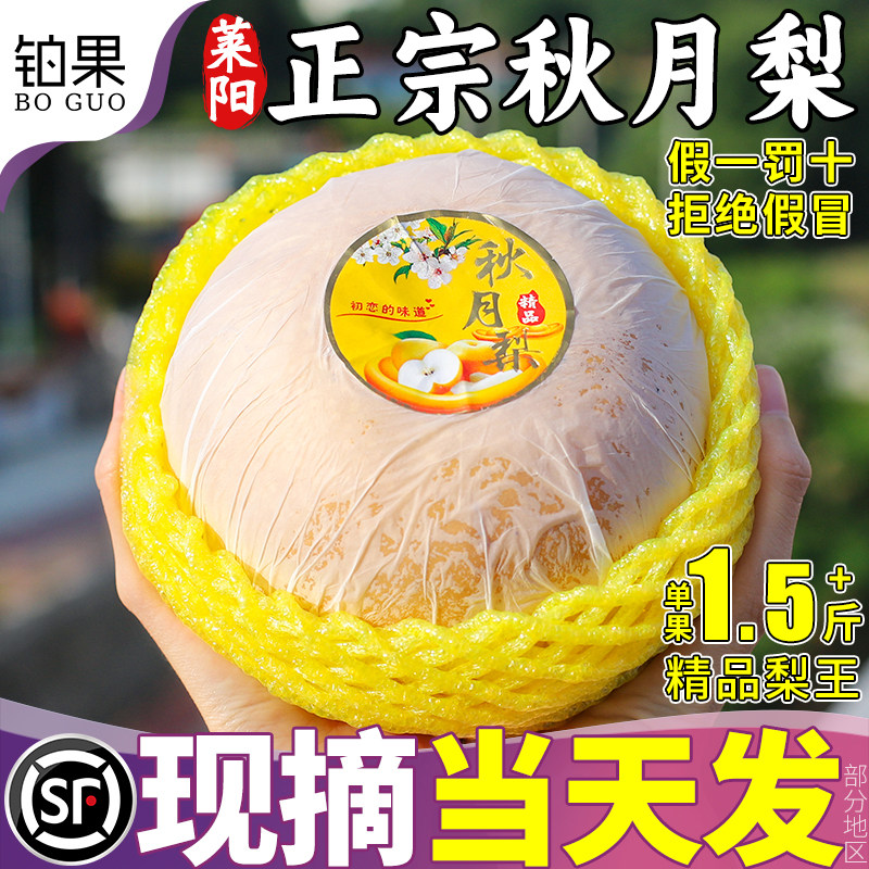顺丰礼盒莱阳秋月梨丨假一罚十！
