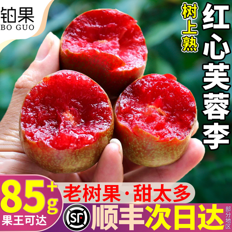 顺丰次日达丨85g+果王红心芙蓉李