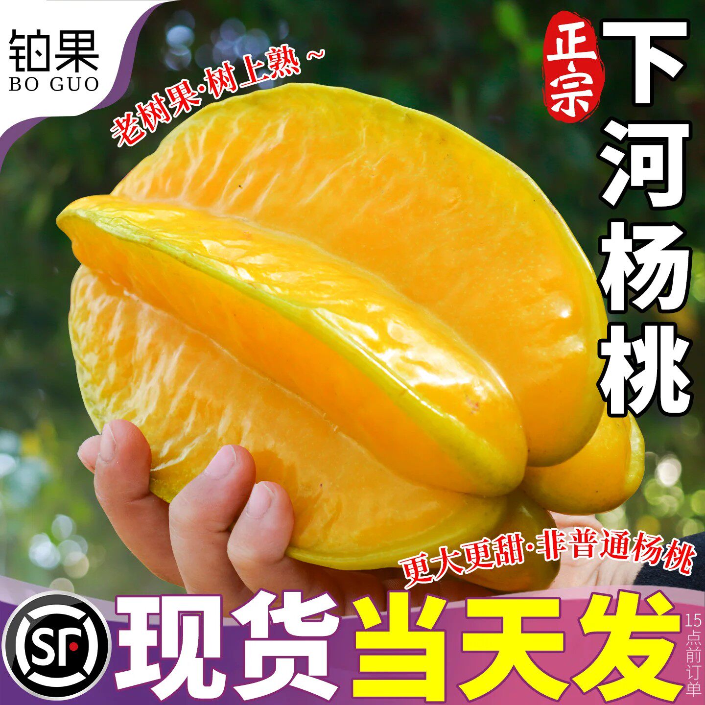 【顺丰速发】福建下河多汁甜杨桃