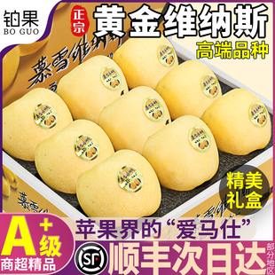 顺丰礼盒10斤维纳斯黄金苹果新鲜水果山东应季雀斑奶油甜整箱包邮