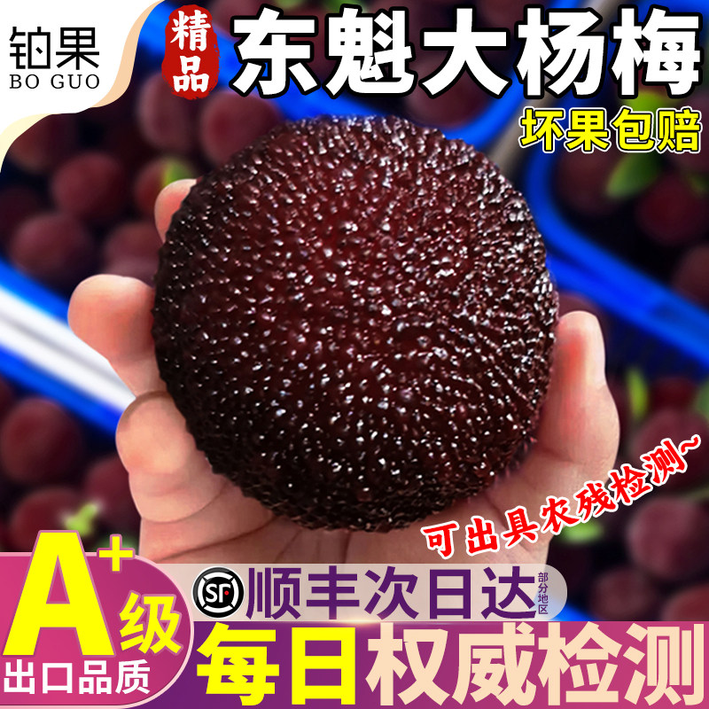 顺丰次日达丨东魁大杨梅