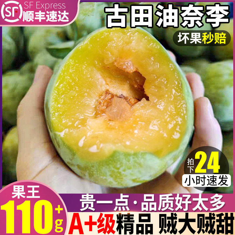 顺丰包邮10斤古田油奈李老树果王