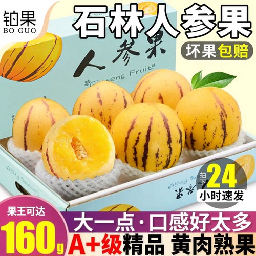 树上熟云南人参果黄肉圆果礼盒