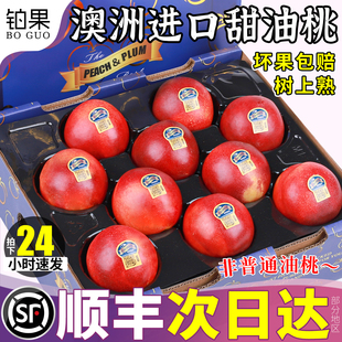 顺丰礼盒 澳洲油桃5斤新鲜水果进口桃子当季整箱包邮孕妇现摘现发
