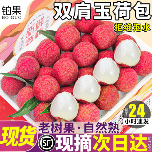 顺丰次日达丨玉荷包荔枝当季新果