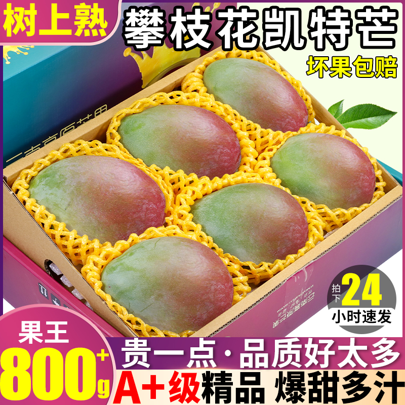 精品20斤四川攀枝花凯特芒超大芒果新鲜当季水果整箱包邮热带10_虎窝淘