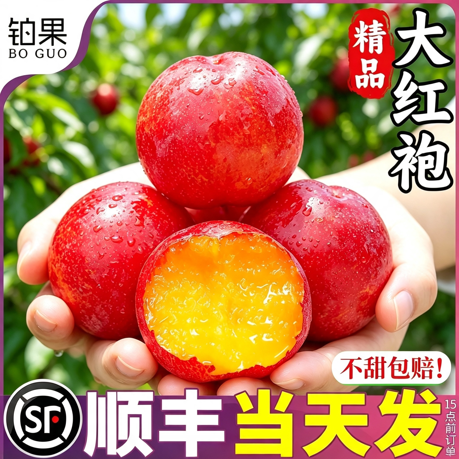 顺丰5斤礼盒丨树上熟甜大红袍李