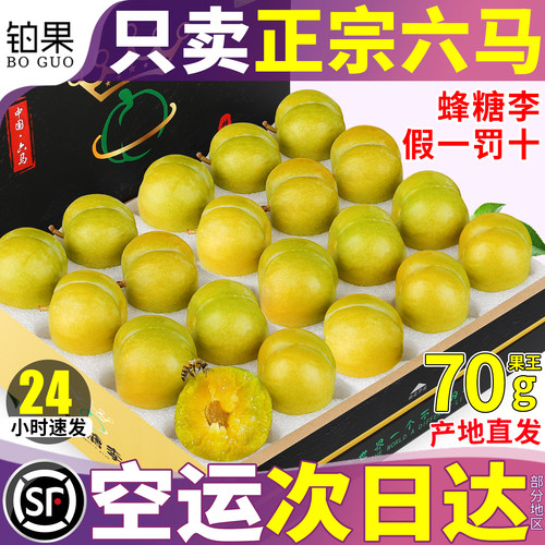 空运次日达丨六马蜂糖李抢先尝鲜
