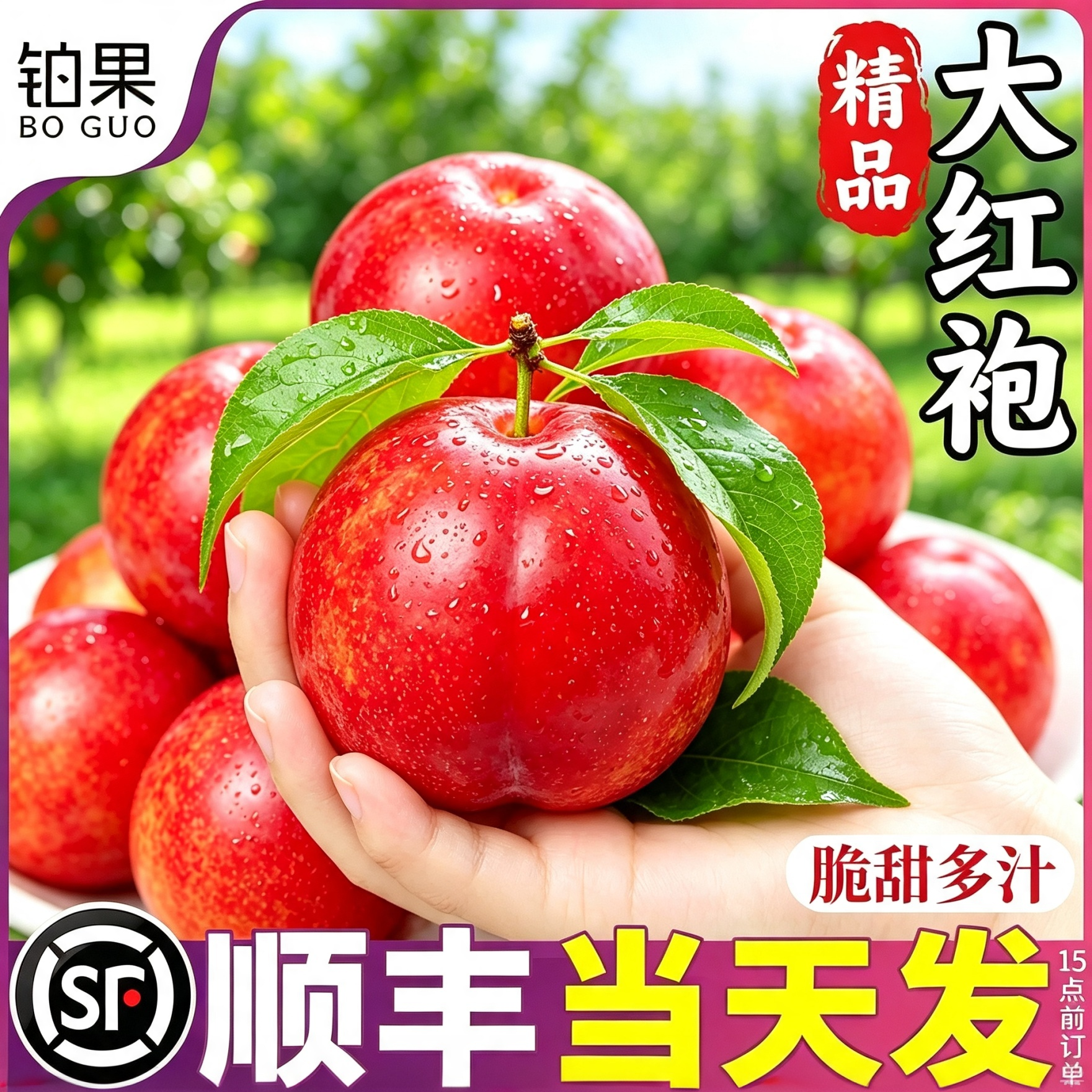 顺丰5斤礼盒品质树上熟大红袍李
