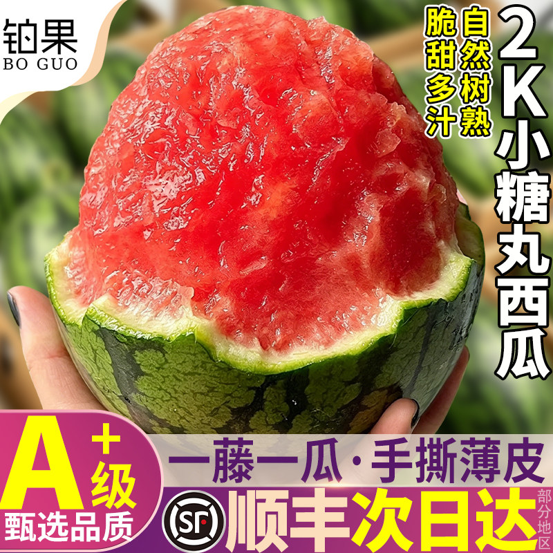 顺丰山东小糖丸西瓜2k新鲜水果当季冰淇淋麒麟整箱包邮礼盒旗舰店